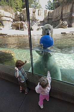 San Diego Zoo, Balboa Park, San Diego, California, United States of America, North America