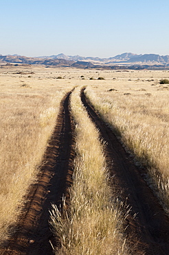 Huab River Valley, Torra Conservancy, Damaraland, Namibia, Africa