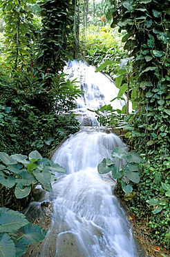 Shaw waterfalls, Ocho Rios, Jamaica, West Indies, Central America