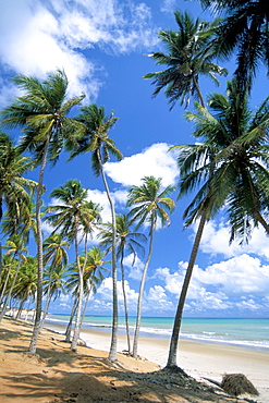 Cabo de Sao Roque, Natal, Rio Grande do Norte state, Brazil, South America