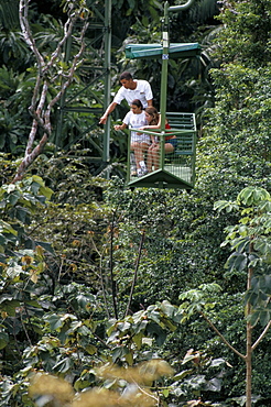 Aerial tramway on forest canopy, Soberania Forest National Park, Gamboa, Panama, Central America