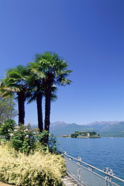 Stresa, with Isola Bella in background, Lake Maggiore, Piemonte (Piedmont), Italy, Europe