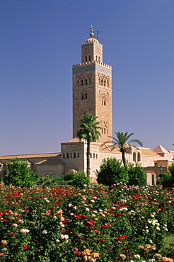 Minaret of the Koutoubia Mosque, Marrakesh (Marrakech), Morocco, North Africa, Africa