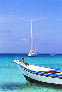 Crasqui, Los Roques, Venezuela, South America