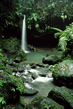 Waterfall flowing into the Emerald Pool, Dominica, West Indies, Central America