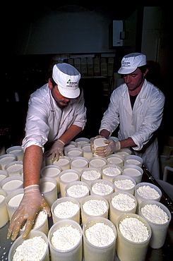 "Lischeto" Farm, pecorino cheese production, Volterra, Val di Cecina, Toscana, Italy