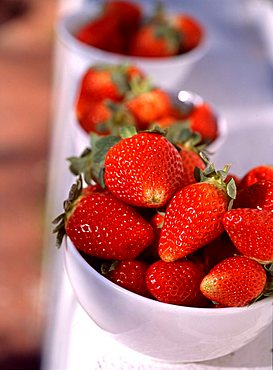 Strawberries, Italy