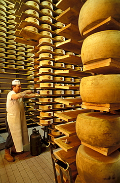 Lavarone dairy, Trentino Alto-Adige, Italy