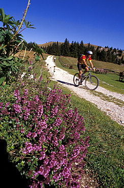 Cycling route, 100 km dei Forti, Trentino Alto Adige, Italy