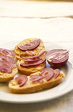 Bruss cheese, toasted bread seasoned with red onions, Racconigi, Piedmont, Italy