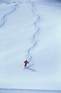 Off track skiing, Courmayeur, Valle d'Aosta, Italy