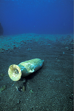 Punic Amphora, Pantelleria, Italy