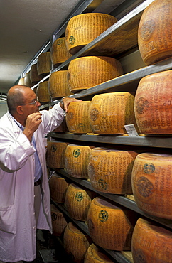 Parmigiano Reggiano, Guffanti cheese, Arona, Piedmont, Italy.