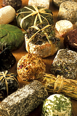 Caprini, Guffanti cheese dealer, Arona, Piedmont, Italy.