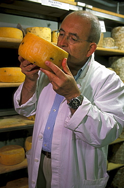 Carlo Fiori tasting cheese, Guffanti cheese dealer, Arona, Piedmont, Italy.