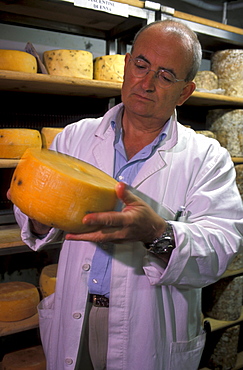 Carlo Fiori tasting cheese, Guffanti cheese dealer, Arona, Piedmont, Italy.