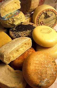 Selection of cheese, Goggi & Goggi shop, Perugia, Umbria, Italy. 