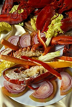 Lupicante (lobster), Isola Del Giglio, Toscana, Tuscany, Italy