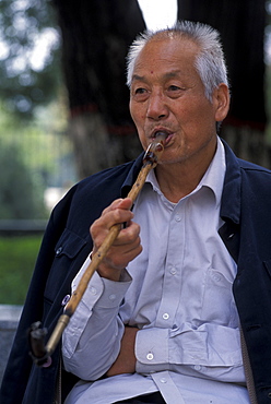 Yang Zhifa discoverer of Terracotta Warriors Tomb, Xian, China, Asia