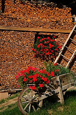 Woodshed, Maso typical house, Trentino Alto Adige, Italy