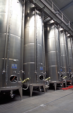 Cantina Rotari farm, Mezzocorona, Piana Rotaliana, Trentino Alto Adige, Italy