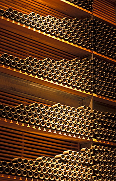 Bottles, Cantina Rotari farm, Mezzocorona, Piana Rotaliana, Trentino Alto Adige, Italy