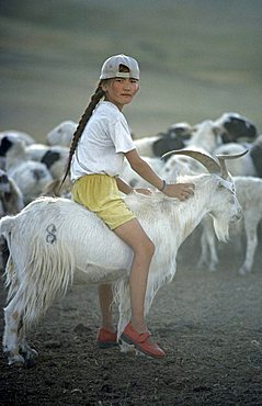 Girl riding a Cashmere goat, Mongolia, Asia