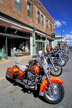 Harley-davidson, Arizona, United States of America, North America