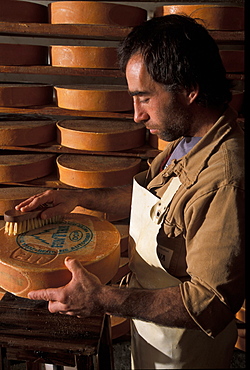 Fontina cheese salting room, Valpelline, Valle d'Aosta, Italy