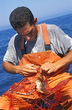 Francesca I fishing boat, Marettimo island, Egadi islands, Sicily, Italy