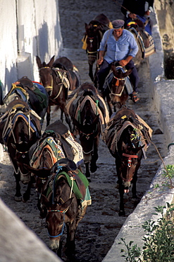 Muletrack, Santorini, Greece, Europe