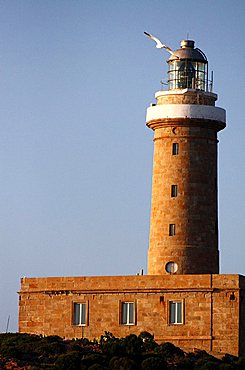 Lighthouse, Capo Sandalo, Carloforte, Sardinia, Italy, Europe