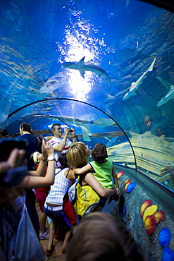 Gardaland Sea Life Aquarium, Castelnuovo del Garda, Veneto, Italy