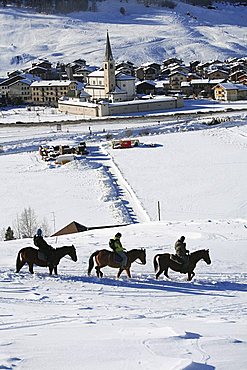 Excursion with horse, Livigno, Lombardy, Italy