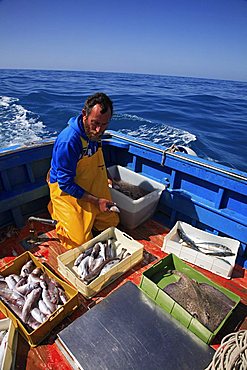 Fishing expedition, Maratea, Basilicata, Italy 