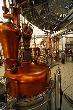 Marzadro Distillery, Villalagarina, Trentino, Italy