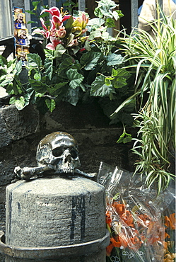 Skull, Purgatorio church, Naples, Campania, Italy