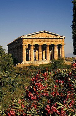 Temple dedicated to Neptune, Paestum, Campania, Italy