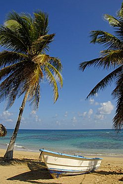 Landscape, Punta Cana, Dominican Republic, West Indies, Central America