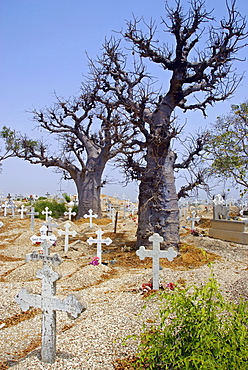 Christian cemetery, Joal-Fadiouth, Republic of Senegal, Africa