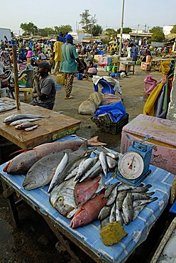 Fishmarket at port, M'Bour, Republic of Senegal, Africa