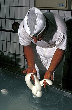 Preparation of the Mozzarella di Bufala, Piana del Sele, Campania, Italy