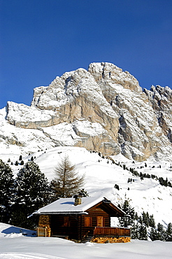 Mountain hut and Odle group from Col Raiser, Gardena Valley, Puez Odle park, Alto Adige, Italy                             