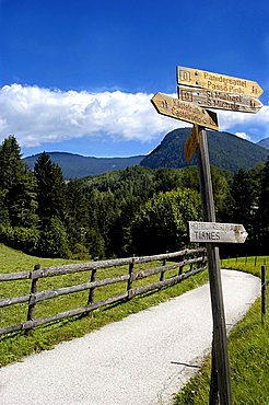 Path near Castlerotto, Alpe di Siusi, altipiano dello Sciliar, Alto Adige, Italy                      