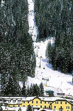 Ski, San Martino di Castrozza, Paneveggio Pale di San Martino Park, Trento province, Trentino, Italy