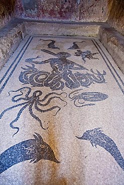 mosaic of Herculaneum, a large Roman town destroyed in 79AD by a volcanic eruption from Mount Vesuvius, UNESCO World Heritage Site, Ercolano, Naples, Campania, Italy, Europe