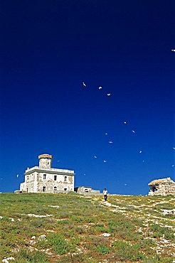 Lighthouse, Capraia island, Tremiti islands, Puglia, Italy