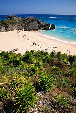 Horseshoe Bay, Bermuda, Atlantic Ocean, Central America