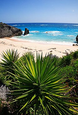 Horseshoe Bay, Bermuda, Atlantic Ocean, Central America