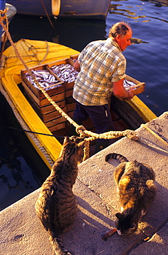 Port, Camogli, Ligury, Italy